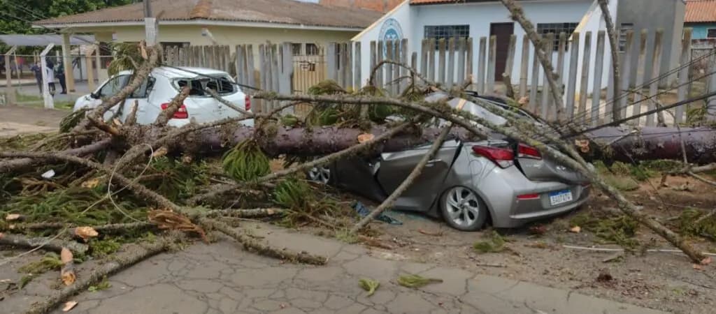 Campanha pede ajuda para professora que teve carro esmagado por árvore