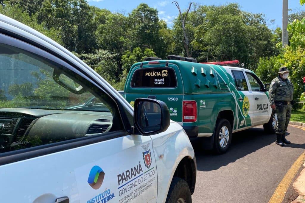 IAT e Polícia Ambiental resgatam 60 aves nativas em Pato Branco, no Sudoeste