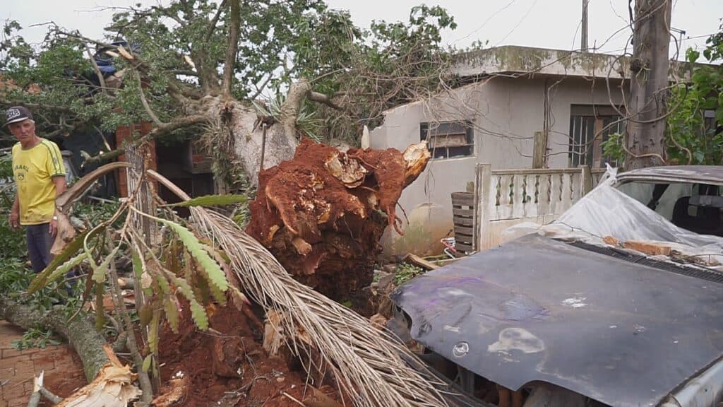Idoso lamenta prejuízos deixados pela árvore que destruiu residência da sua família
