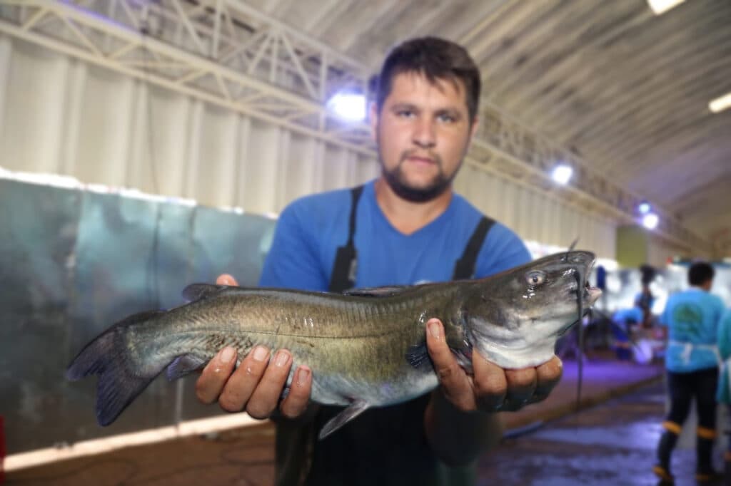 Feira do Peixe continua no formato digital em 2022