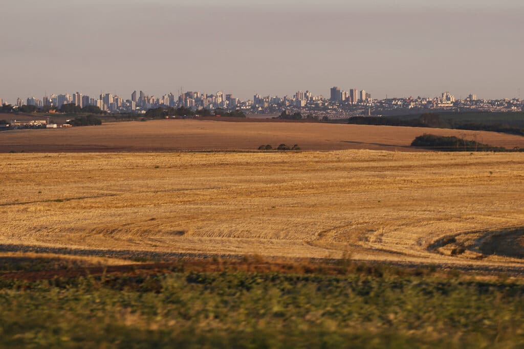Três cidades da região superam R$ 1 bilhão em Valor Bruto da Produção Agropecuário