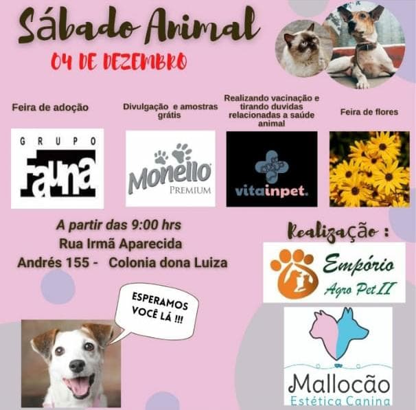 Evento realiza adoção de animais domésticos em PG