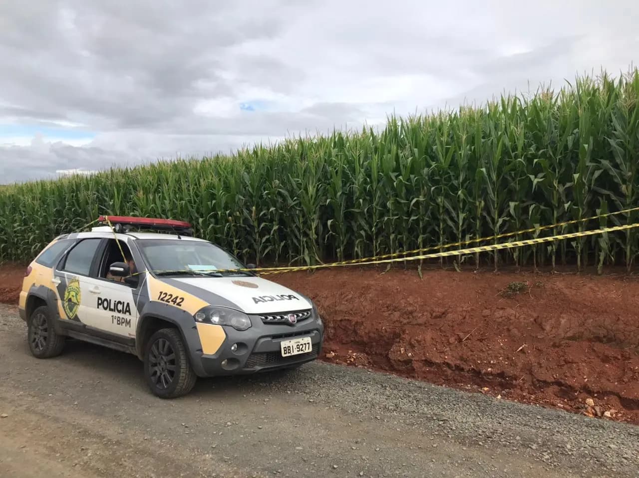 Corpo é encontrado em plantação próximo à PR-151