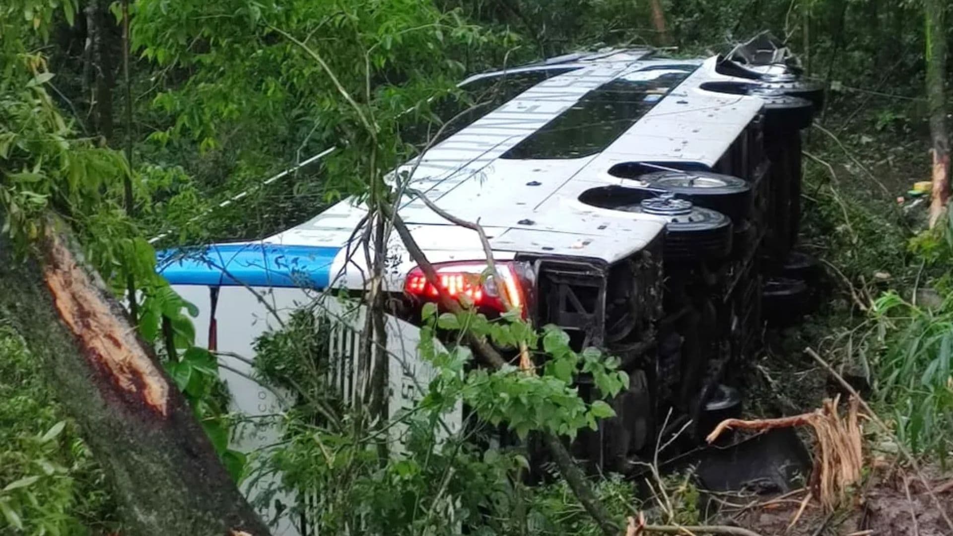 Acidente entre ônibus e caminhão deixa sete pessoas feridas na BR-277