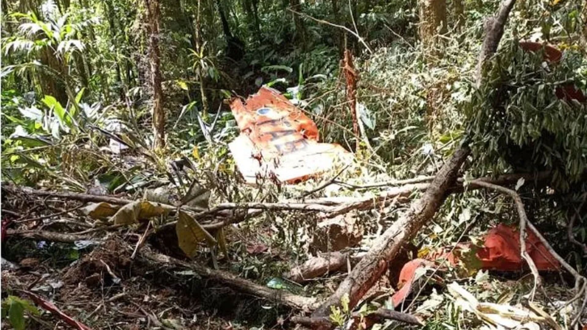 Destroços de avião da FAB são encontrados em SC; dois morreram no acidente