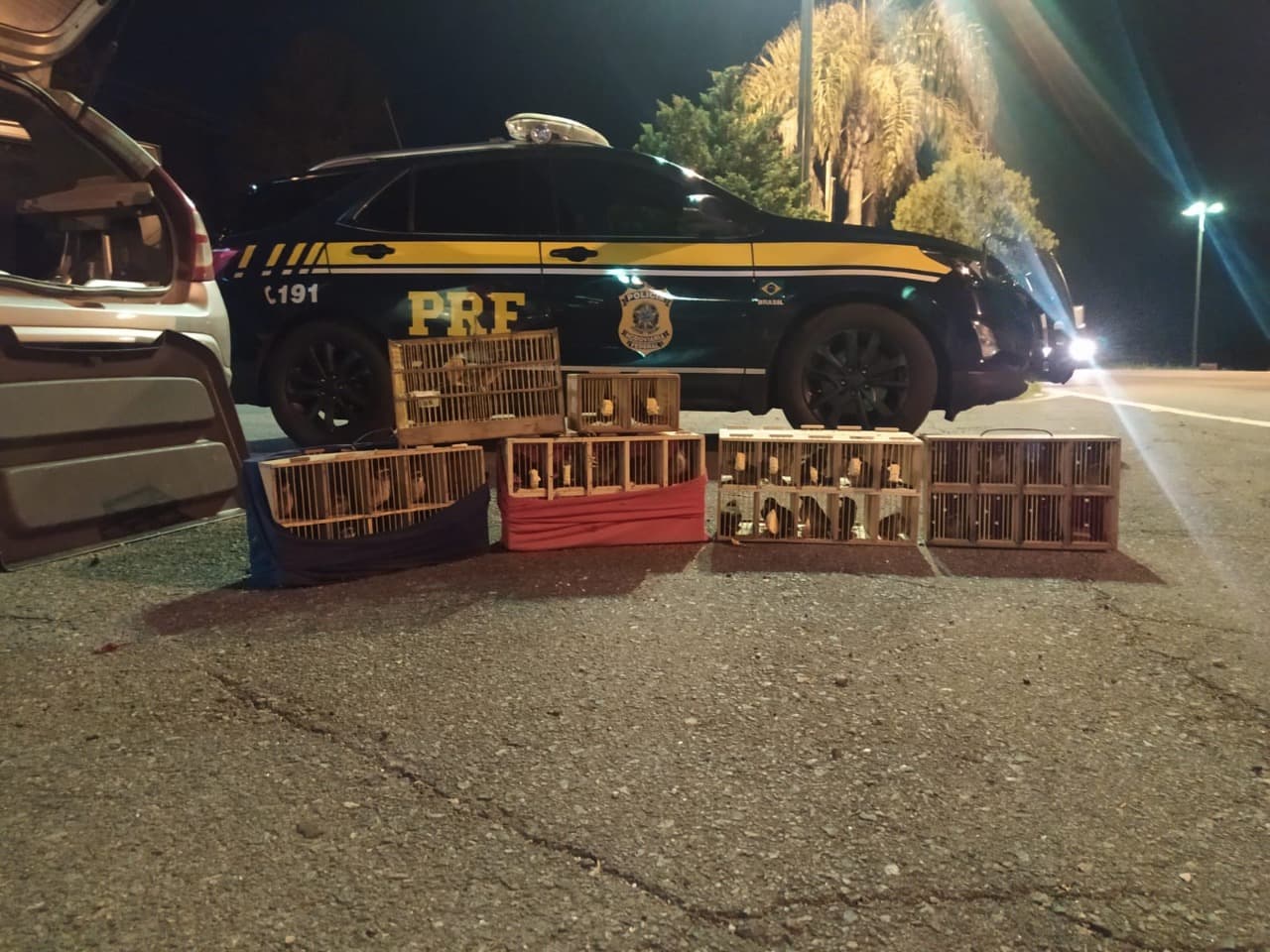 PRF apreende carro com porta-malas cheio de pássaros