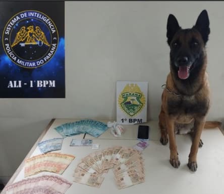 Polícia apreende drogas com apoio de cão de faro em PG