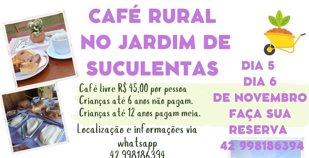 Jardim de Suculentas de PG promove visitação com café neste final de semana