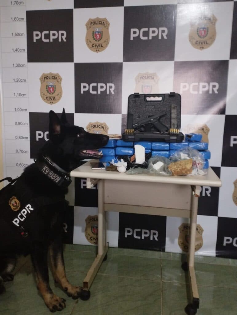 Polícia realiza 12 mandados de busca e apreensão em combate ao tráfico de drogas na região