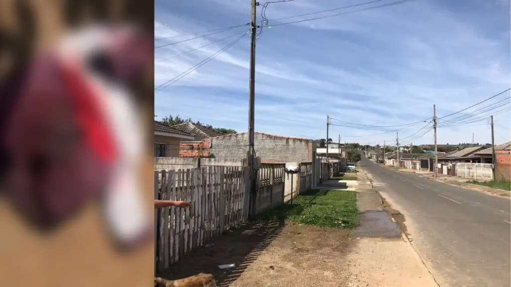 Homem é esfaqueado após atacar idosa em Ponta Grossa