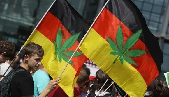 Alemanha irá se tornar segundo país europeu a legalizar o uso recreativo da maconha