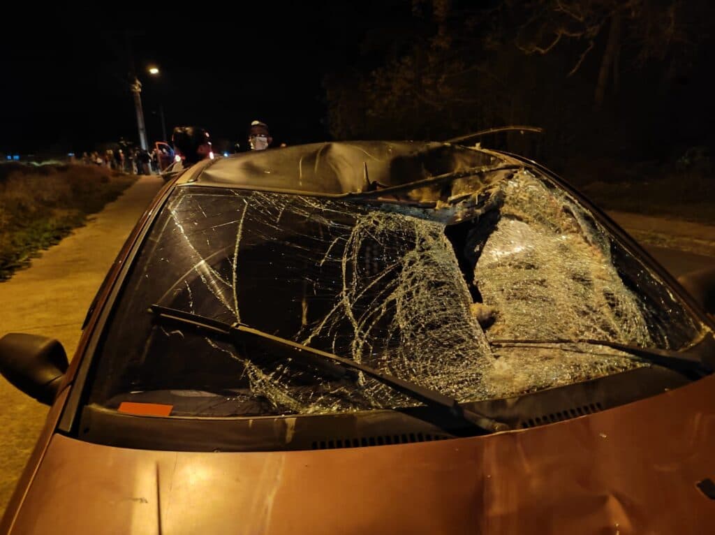 Cavalo dispara e se envolve em grave colisão em bairro de PG