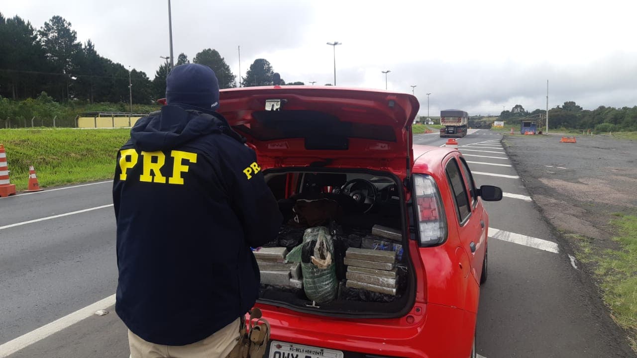 Equipe policial de Ponta Grossa realiza nova apreensão de drogas