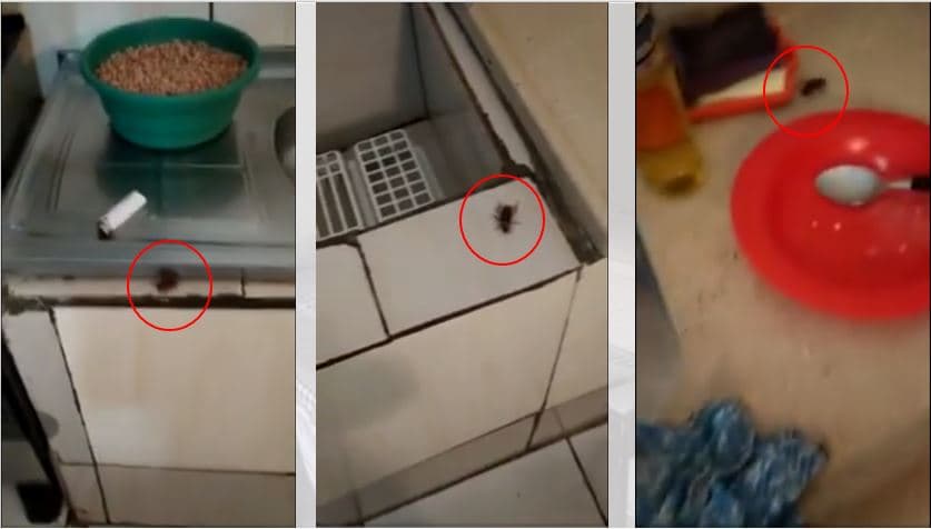 Mais um asilo de PG é alvo de denúncia de descaso e falta de higiene