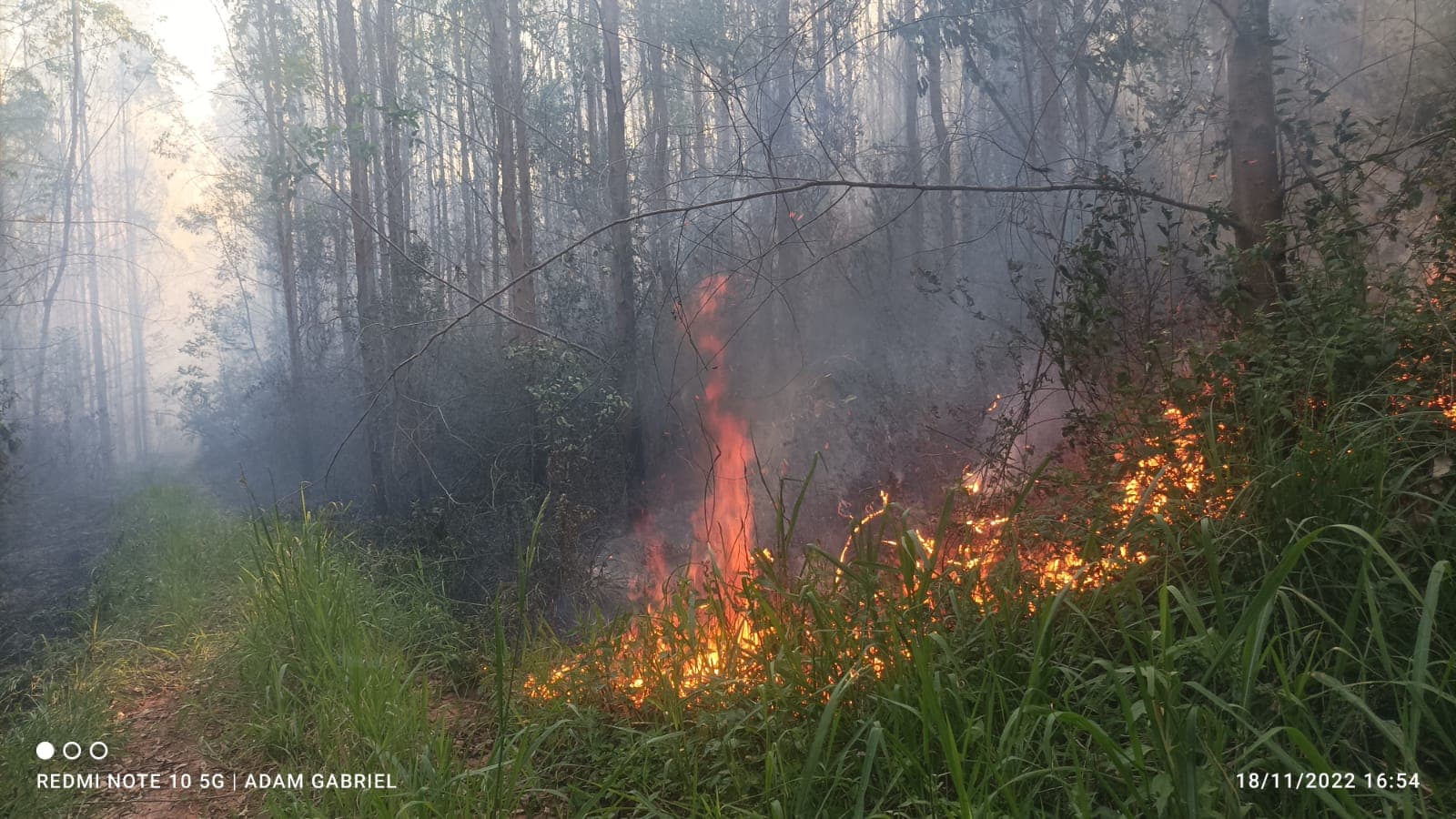 Incêndio de grandes proporções atinge região da Mandaçaia, local turístico, em Telêmaco Borba