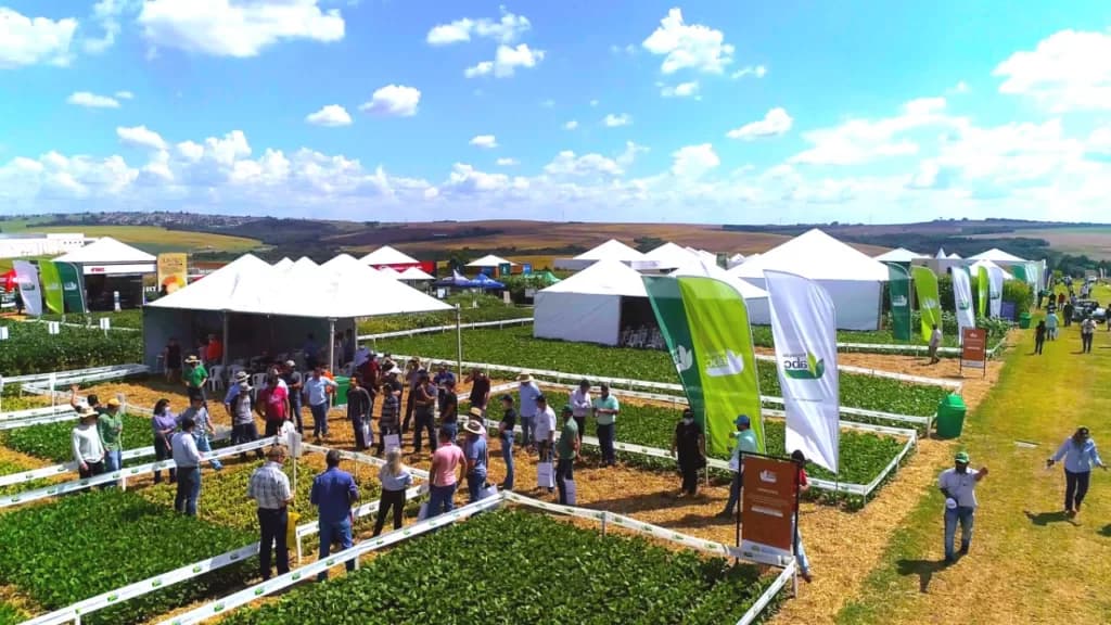 Fundação ABC divulga temas das apresentações do Show Tecnológico Verão