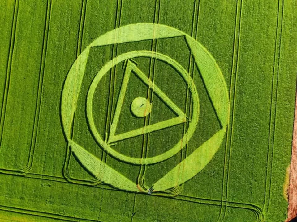 Misterioso desenho aparece em plantação de trigo de Ipuaçu