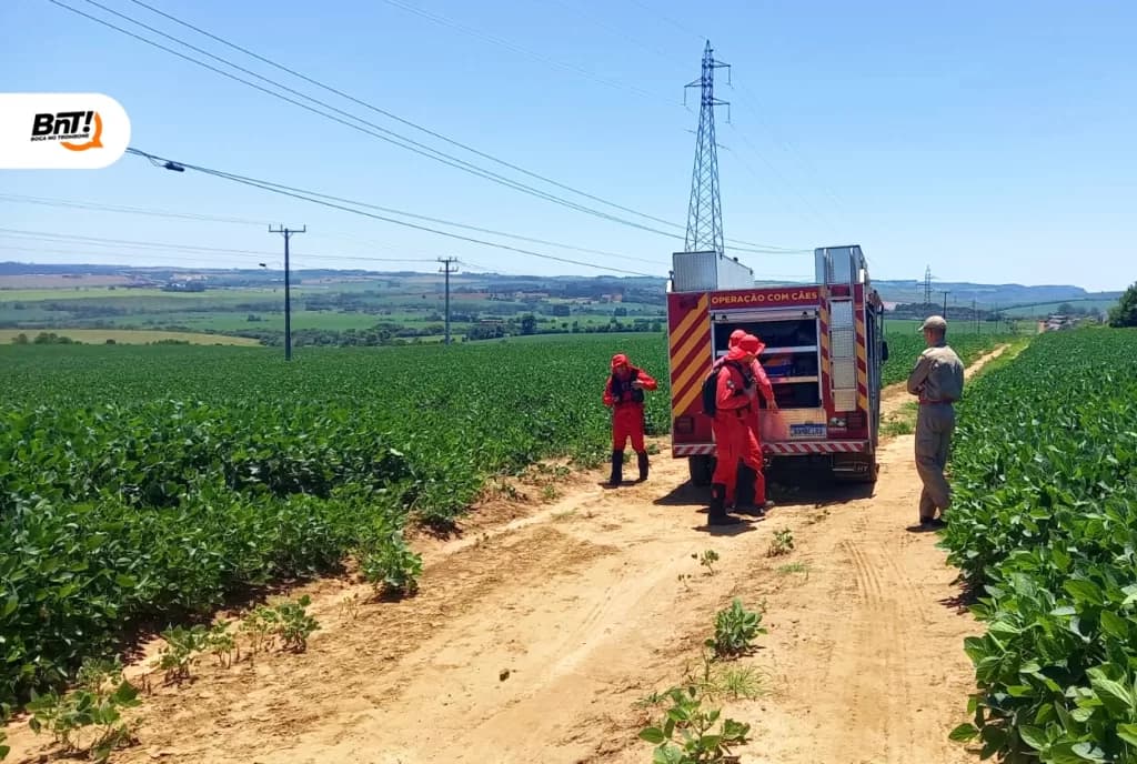 Bombeiros procuram por homem desaparecido em área de mata em PG