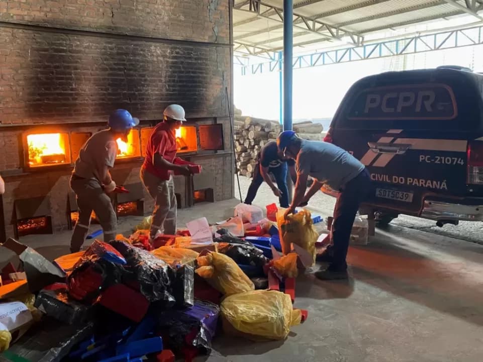 Polícia Civil de Palmeira realiza incineração de drogas