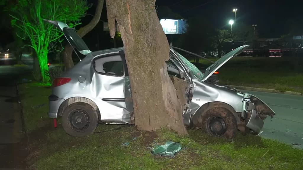Carro bate em árvore e deixa grávida, homem e duas crianças feridas em PG