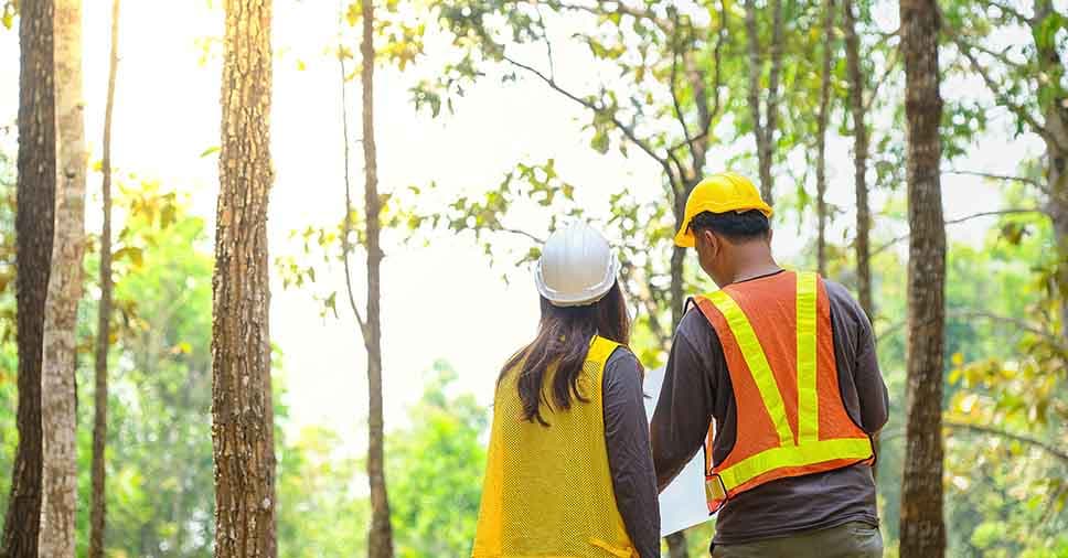 Quais as vantagens de contratar uma consultoria ambiental?