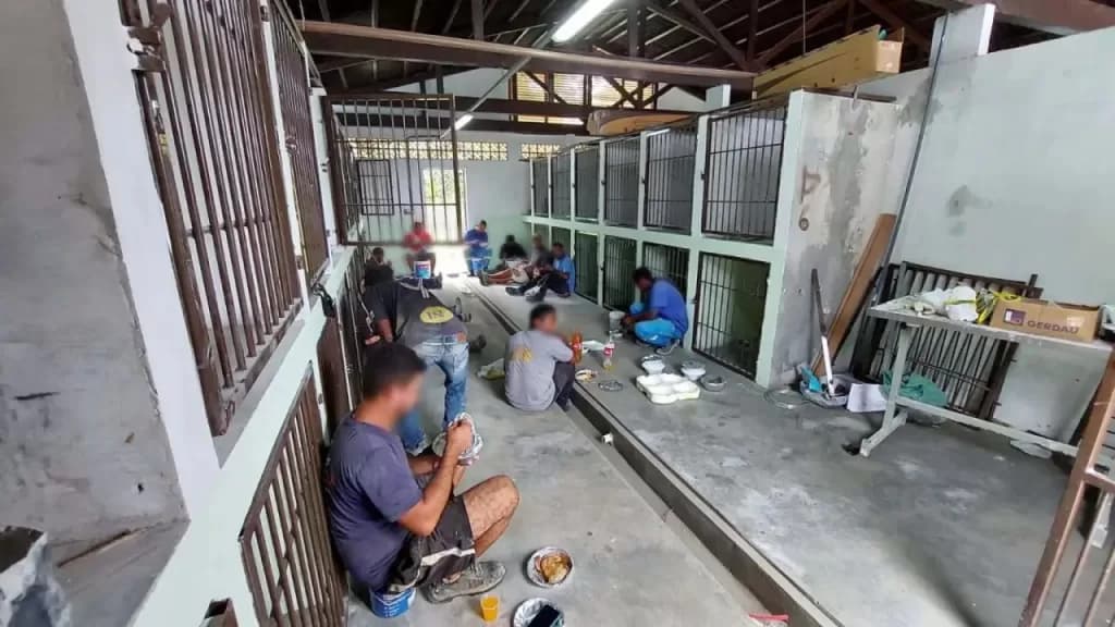 Denúncia de trabalho análogo à escravidão é registrada em SC após flagrante