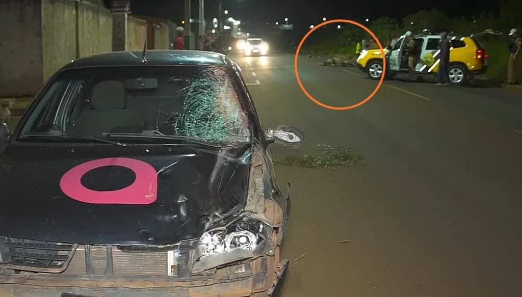 Cavalo solto é atropelado e agoniza no meio da rua em bairro de Ponta Grossa