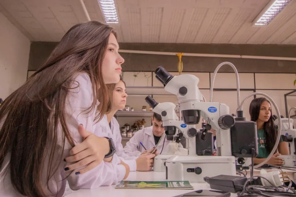 No Paraná, mulheres são maioria no sistema de ensino superior