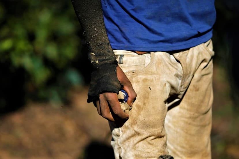 Em quatro meses, mais de 1.200 pessoas foram resgatadas de trabalho escravo no Brasil