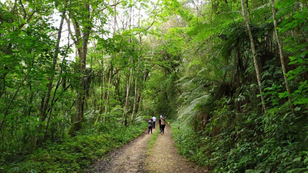 Prefeitura de PG abre inscrições para Caminhada no Guaragi