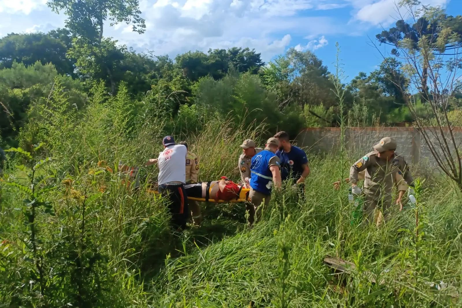 AGORA: Homem é socorrido após ser atingido por árvore durante poda em PG