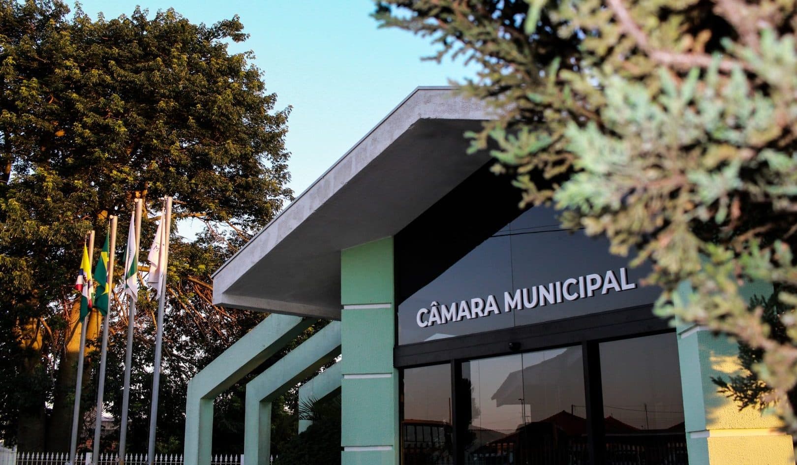 Projeto de lei quer multar tutores de cães que causem ataques em Carambeí