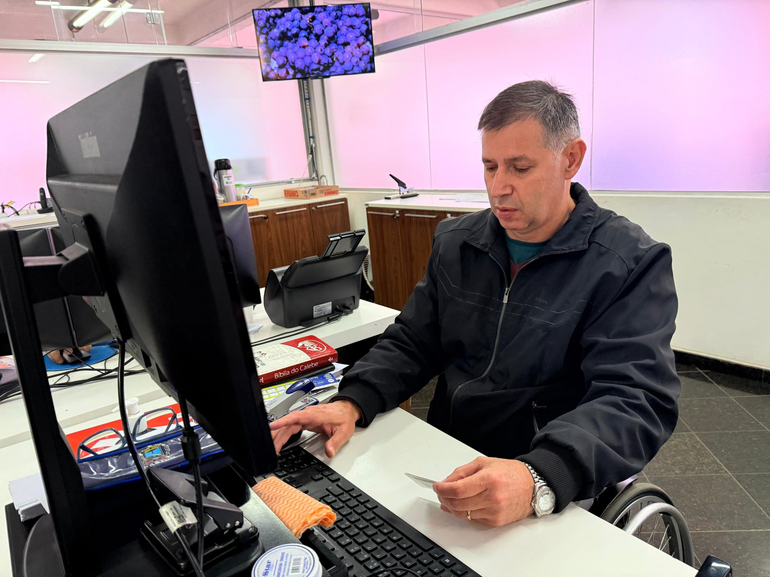 teletrabalho pcd Emanoelle Wisnievski 2
