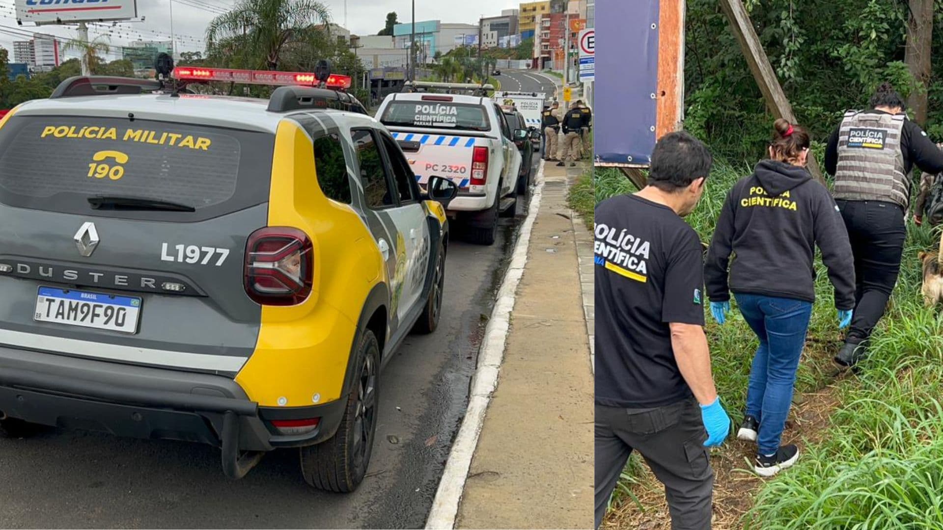 Corpo de um homem é encontrado em local de mata na Nova Rússia, em Ponta Grossa