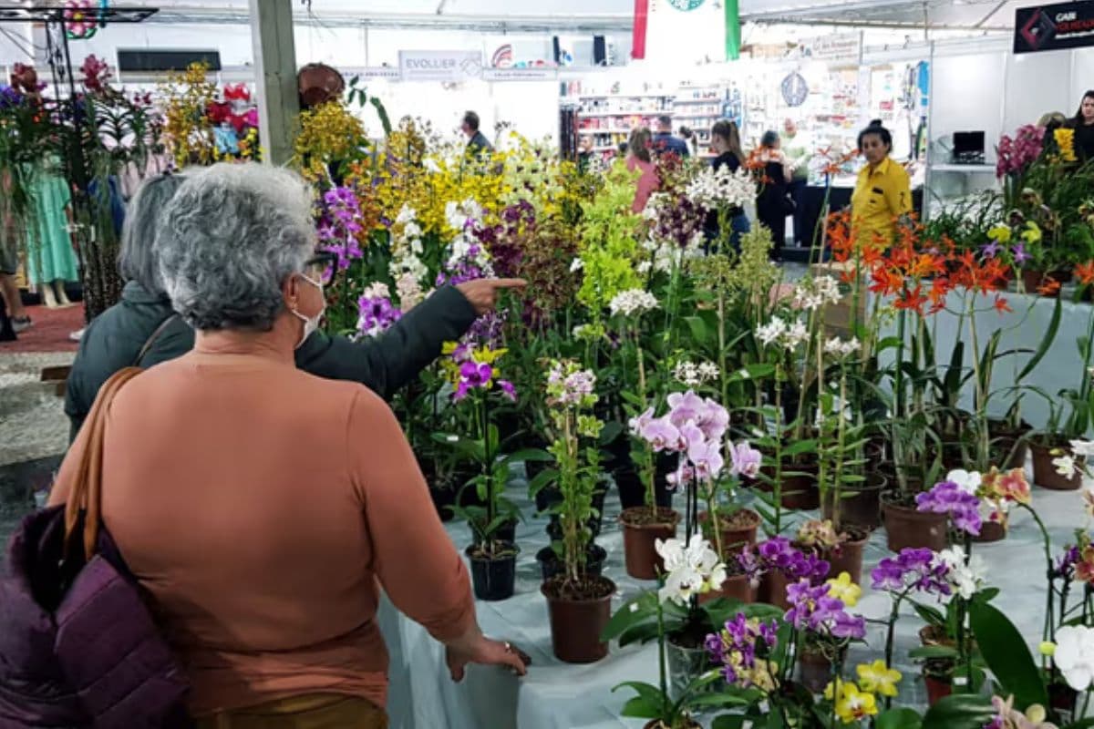 expo&flor