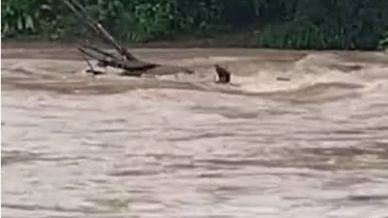 Chuvas em Prudentópolis destroem ponte e deixam comunidades isoladas