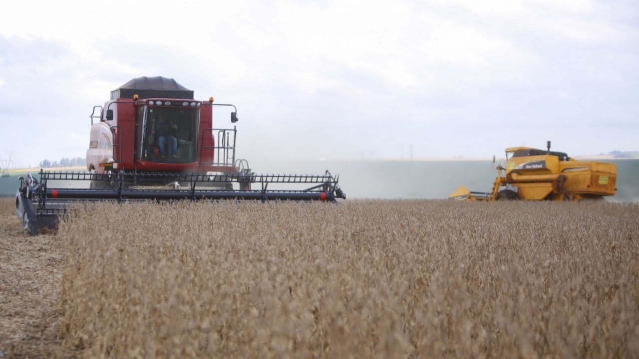Produção de soja na safra 26/27 tem previsão de aumento em 4% no Paraná