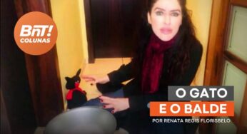 O gato e o balde por Renata Regis Florisbelo