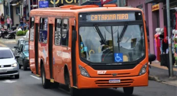 Prefeitura divulga resultados da consulta pública do transporte em PG. Confira