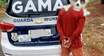 Homem é preso em flagrante por maus-tratos a animais em Ponta Grossa