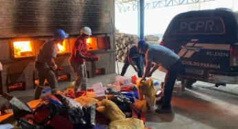 Polícia Civil de Palmeira realiza incineração de drogas