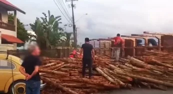 Caminhão carregado com toras tomba e espalha carga em rotatória da PR-151 em Carambeí