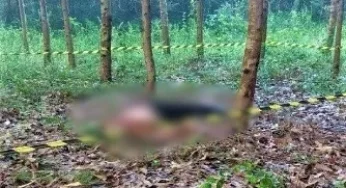 Pai e filho são mortos à facadas e corpos são encontrados em matagal de cidade da região