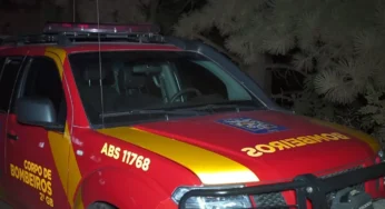 Após chuva, pescador desaparece na beira de rio em estrada rural de Ponta Grossa