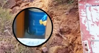 Cobra invade residência em rua precária que já foi denunciada pelo BNT em PG