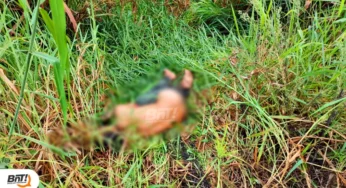 URGENTE: Homem é encontrado morto ao lado da linha férrea na Palmeirinha