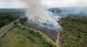 IAT finaliza queima controlada contra espécies invasoras no Parque de Vila Velha