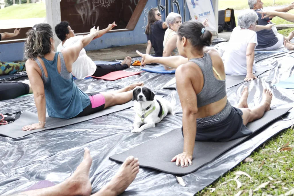 Foco das aulas é aumentar a prática de Yoga, e visa melhorar a qualidade de vida dos praticantes.