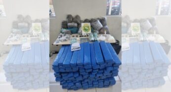 Polícia Militar apreende grande quantidade de drogas em Ponta Grossa