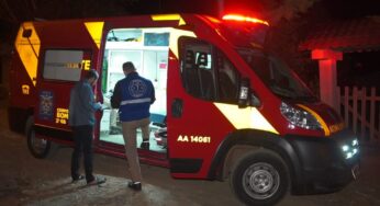 Mulher é atacada por Pitbull e corre risco de morte em PG